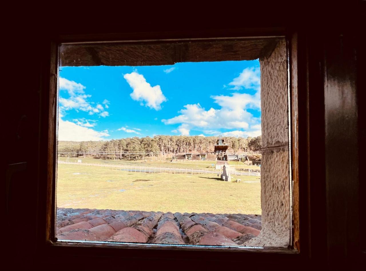 Albergue Pinares - La Casona De Revenga Regumiel de la Sierra Exterior foto